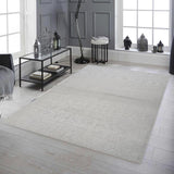 Orion Light Grey Rug